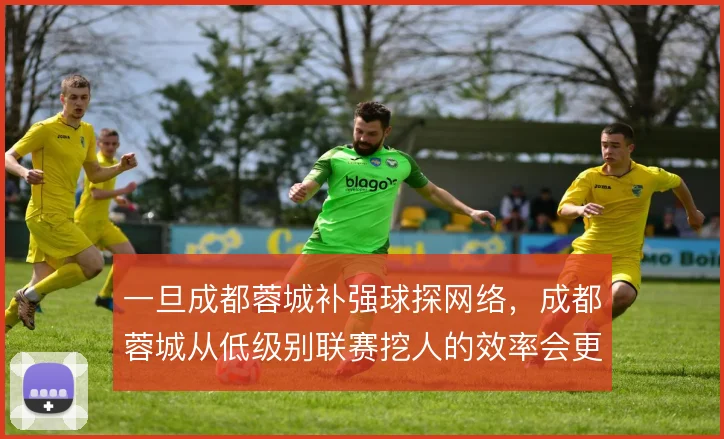 一旦成都蓉城补强球探网络,成都蓉城从低级别联赛挖人的效率会更高
