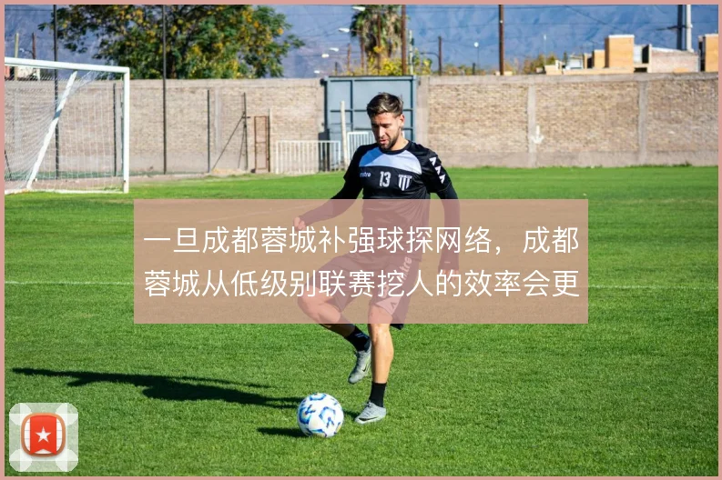 一旦成都蓉城补强球探网络，成都蓉城从低级别联赛挖人的效率会更高