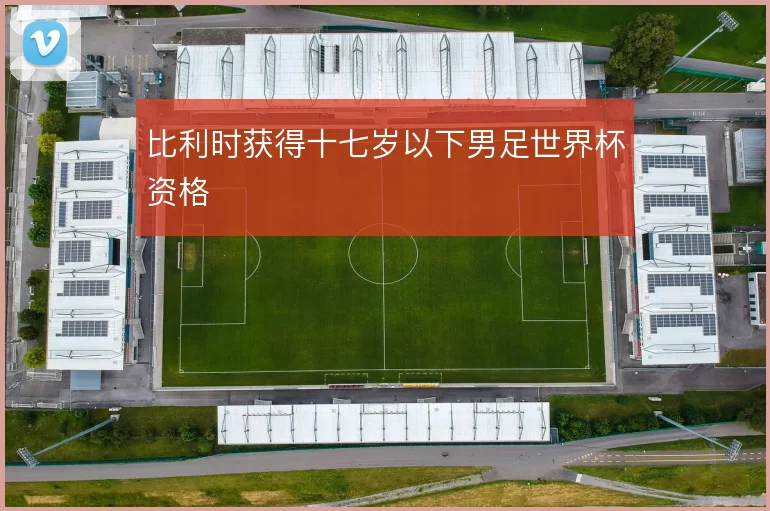 比利时获得十七岁以下男足世界杯资格